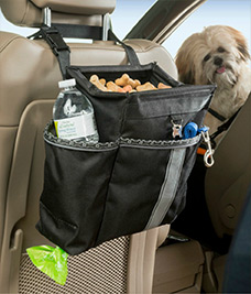 Carseat travel bag full of dog treats (with dog in passenger seat)