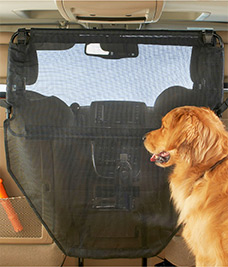 Dog behind mesh-net backseat cover