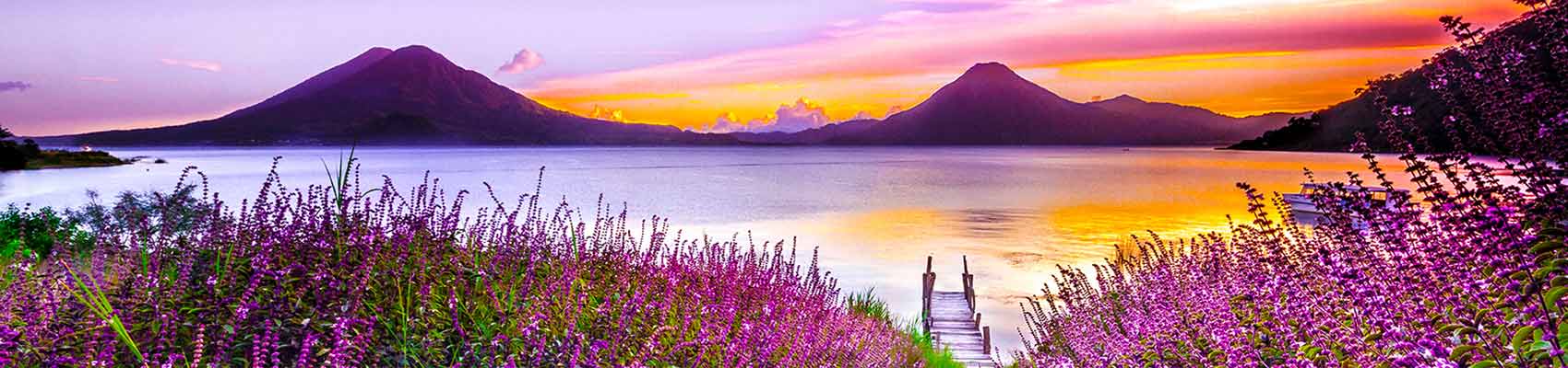 Sunset over a lakeside field of lavender.